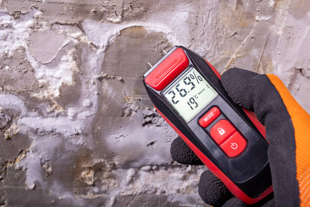 Best Mold Removal Company Near Me  in Chickasaw, AL
