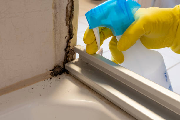 Best Crawl Space Mold Removal  in Chickasaw, AL
