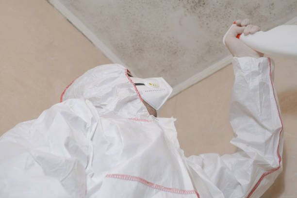 Best Mold Testing  in Chickasaw, AL